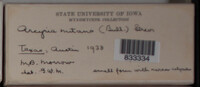 Image Associated With the Occurence